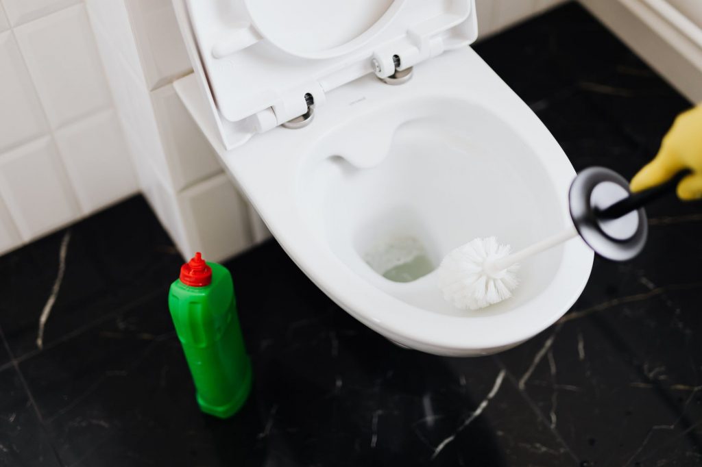 cleaning tips for toilet