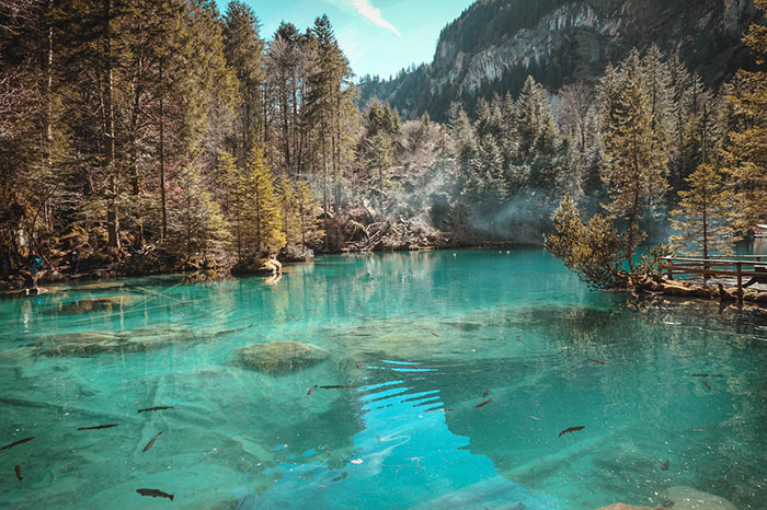 beautiful view