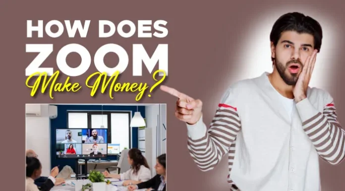 How Does Zoom Make Money?