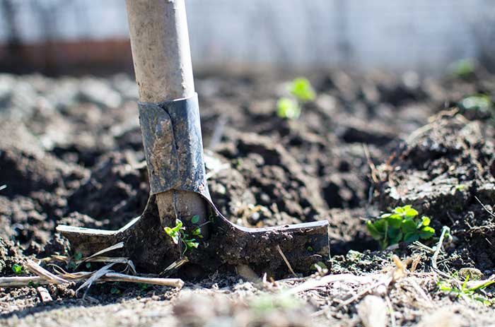 Equipment for Plantation