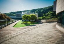 Stamped Concrete Patio Ideas