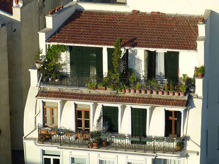 Terrace gardening green zone