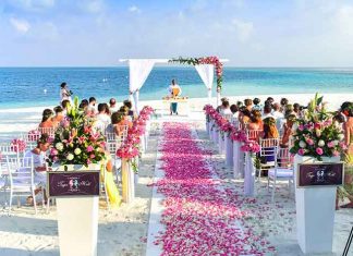 Summer Wedding