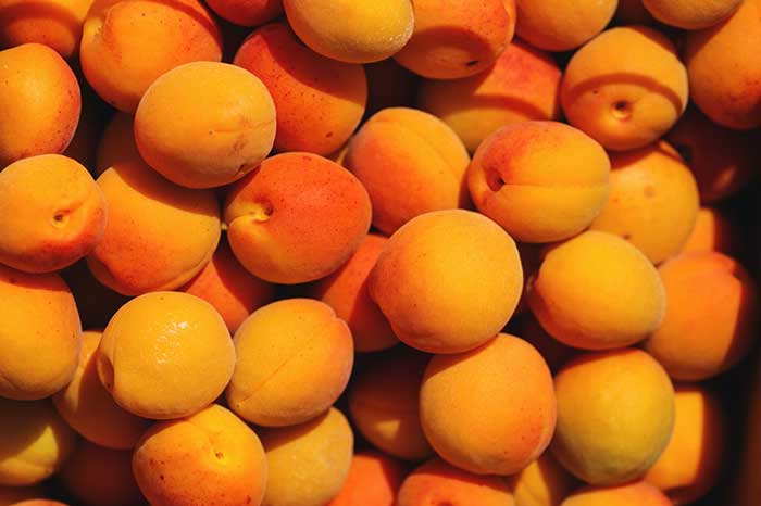fruit with low fructose