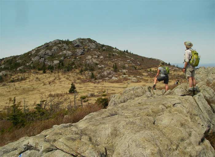 Mount Rogers Hiking Trails