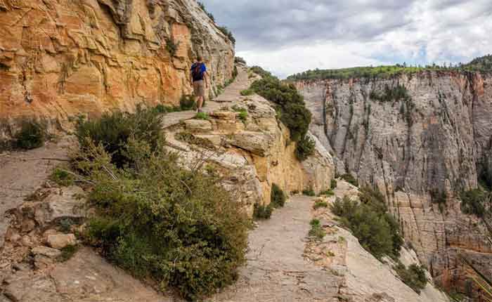 Observation Point Hiking Trails