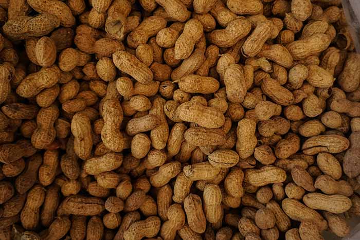 food allergies