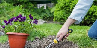 Preparing Your Garden for Winter