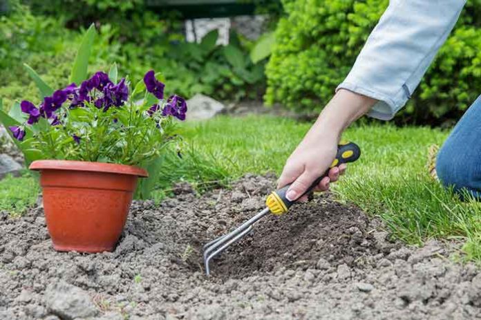 Preparing Your Garden for Winter