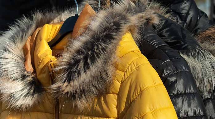 Best Winter Jackets for Women