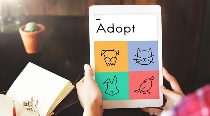benefits of adopting a pet
