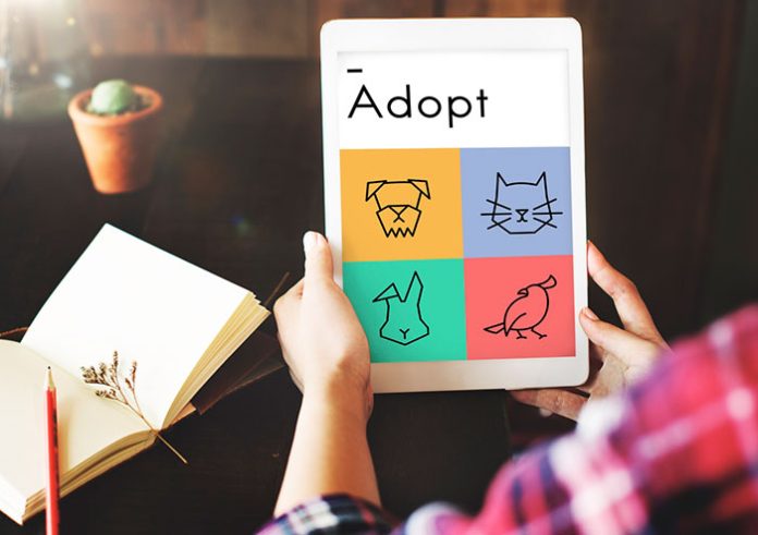 benefits of adopting a pet