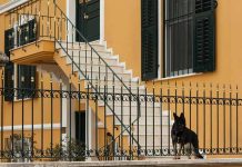 best guard dog breeds for families with children