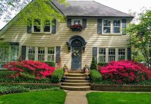 how to keep your lawn fresh and green