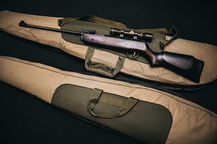 Bolt action rifles-Types of Hunting Rifles