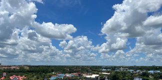 Orlando Tour Guide