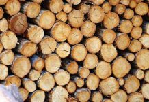 Types of Wood