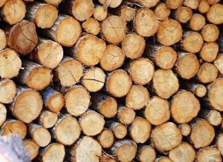 Types of Wood