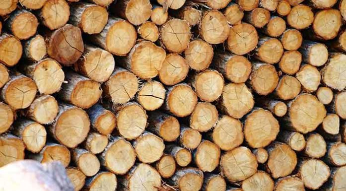 Types of Wood