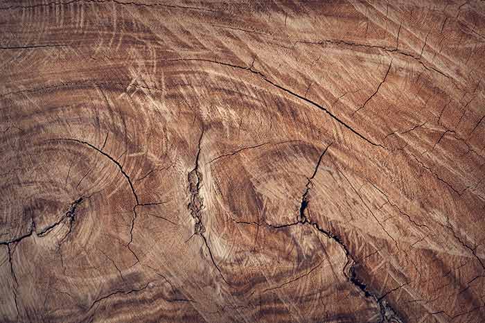 Wood Texture