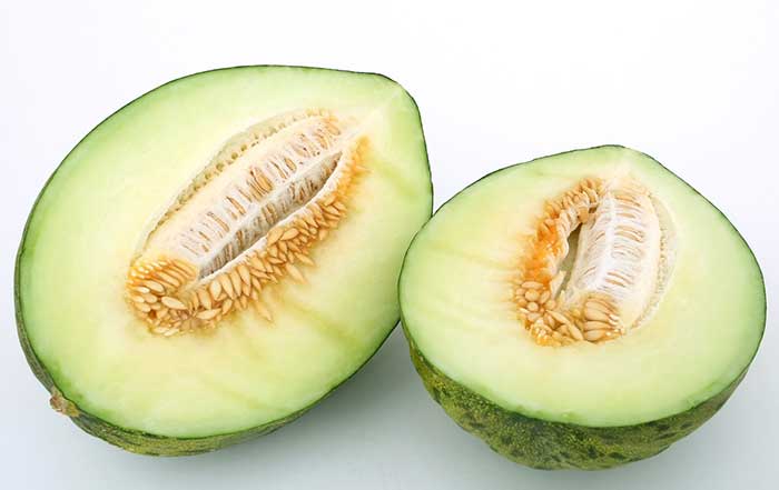 Honeydew Melon