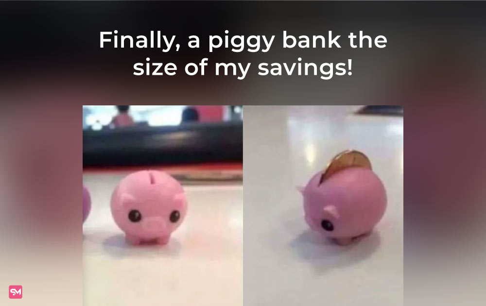 money meme-piggy bank savings