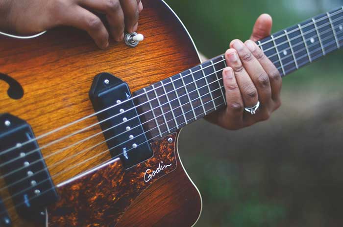 Brazilian Rosewood