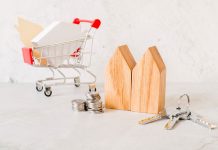Assets to Buy in Your 20s