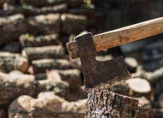 best axe for splitting wood