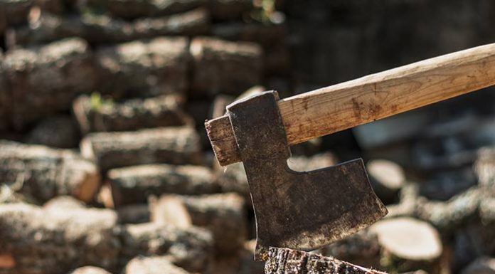 best axe for splitting wood