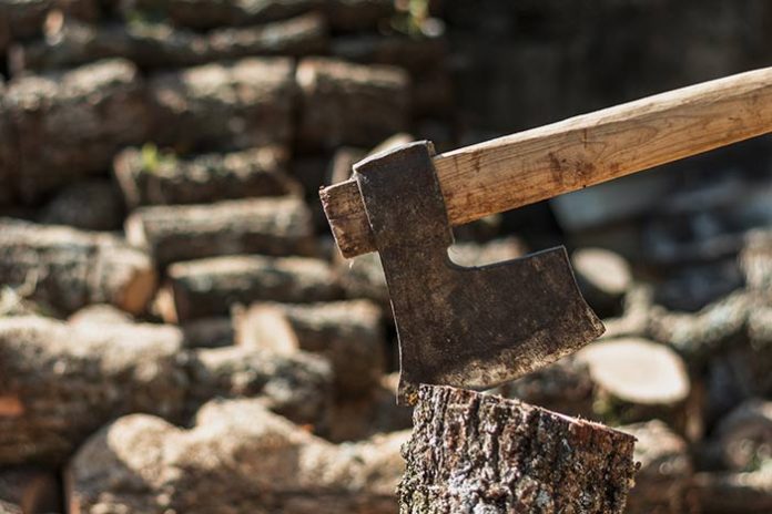 best axe for splitting wood