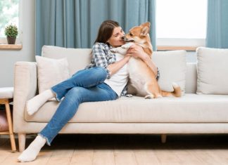 Best Pet Friendly Airbnbs