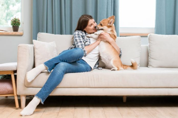 Best Pet Friendly Airbnbs