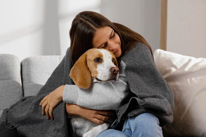 Top 10 Pet Friendly Airbnb