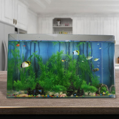 artificial aquarium