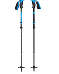 Best Ski Pole - Black Diamond Razor Carbon Pro