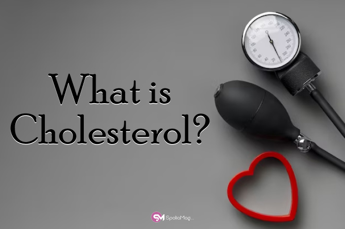 What is Cholesterol