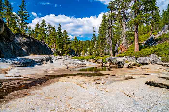 National Parks in California