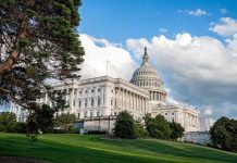 Things To Do In Washington D.C