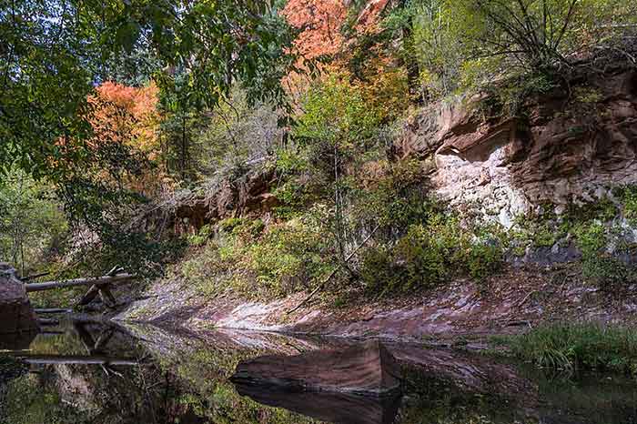 West Fork Trail in Oak Creek