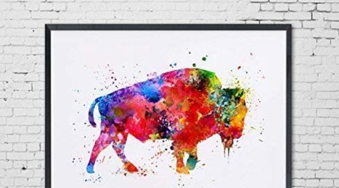 Buffalo Art