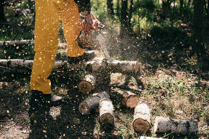 How Would You Know Your Chainsaw Needs to Sharpen