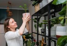 Indoor Growing Systems