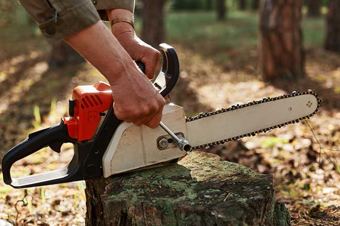 Things to do Before Sharpening Chainsaw Blade
