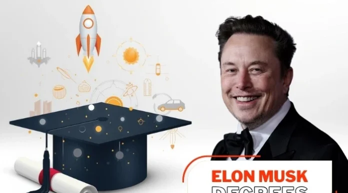 where did elon musk go to college