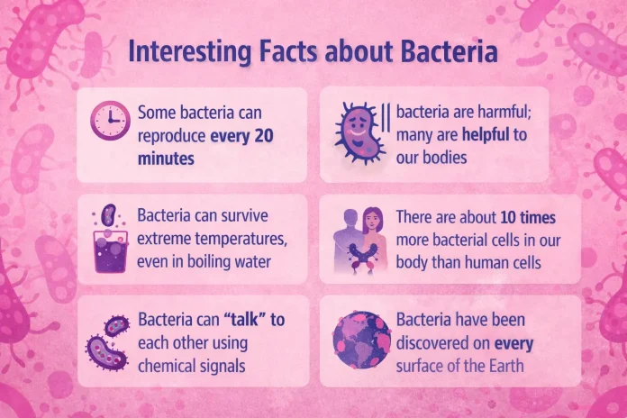 facts about bacteria facts about bacteria