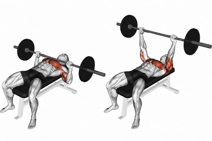 Barbell bench press exercise showing start and finish positions with chest, shoulders, and triceps highlighted.