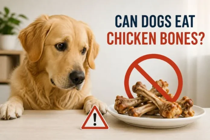 Can Dogs Eat Chicken Bones Can Dogs Eat Chicken Bones