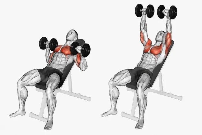 Incline dumbbell press exercise showing start and finish positions with upper chest, shoulders, and triceps highlighted.