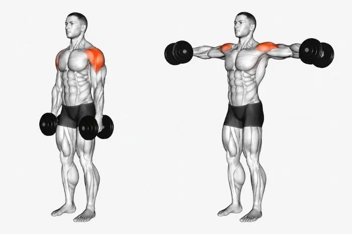 Dumbbell lateral raise exercise showing start and finish positions with lateral deltoid muscles highlighted.